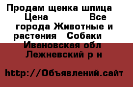 Продам щенка шпица.  › Цена ­ 15 000 - Все города Животные и растения » Собаки   . Ивановская обл.,Лежневский р-н